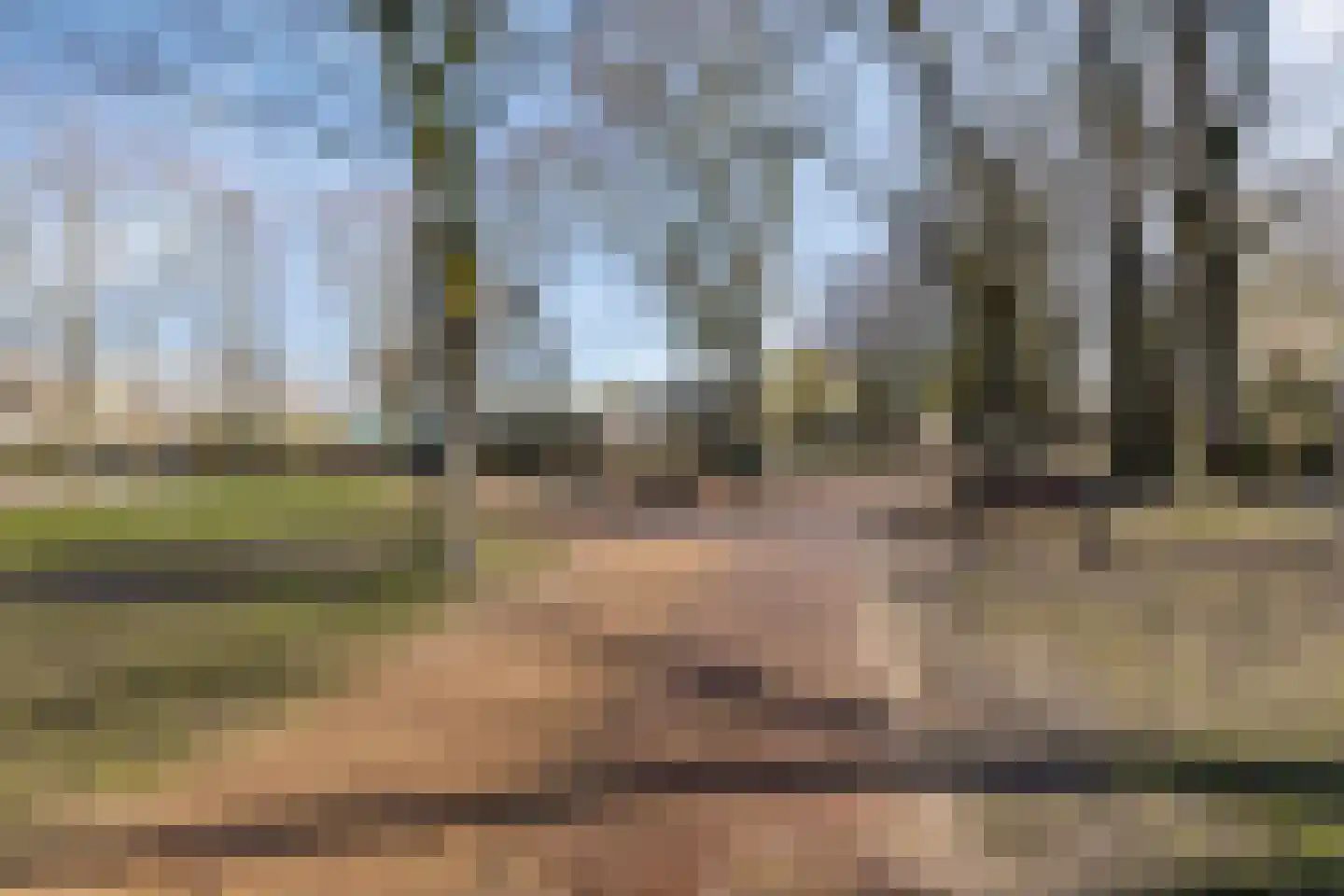 Hazenbos 20 Halsteren thumbnail 48