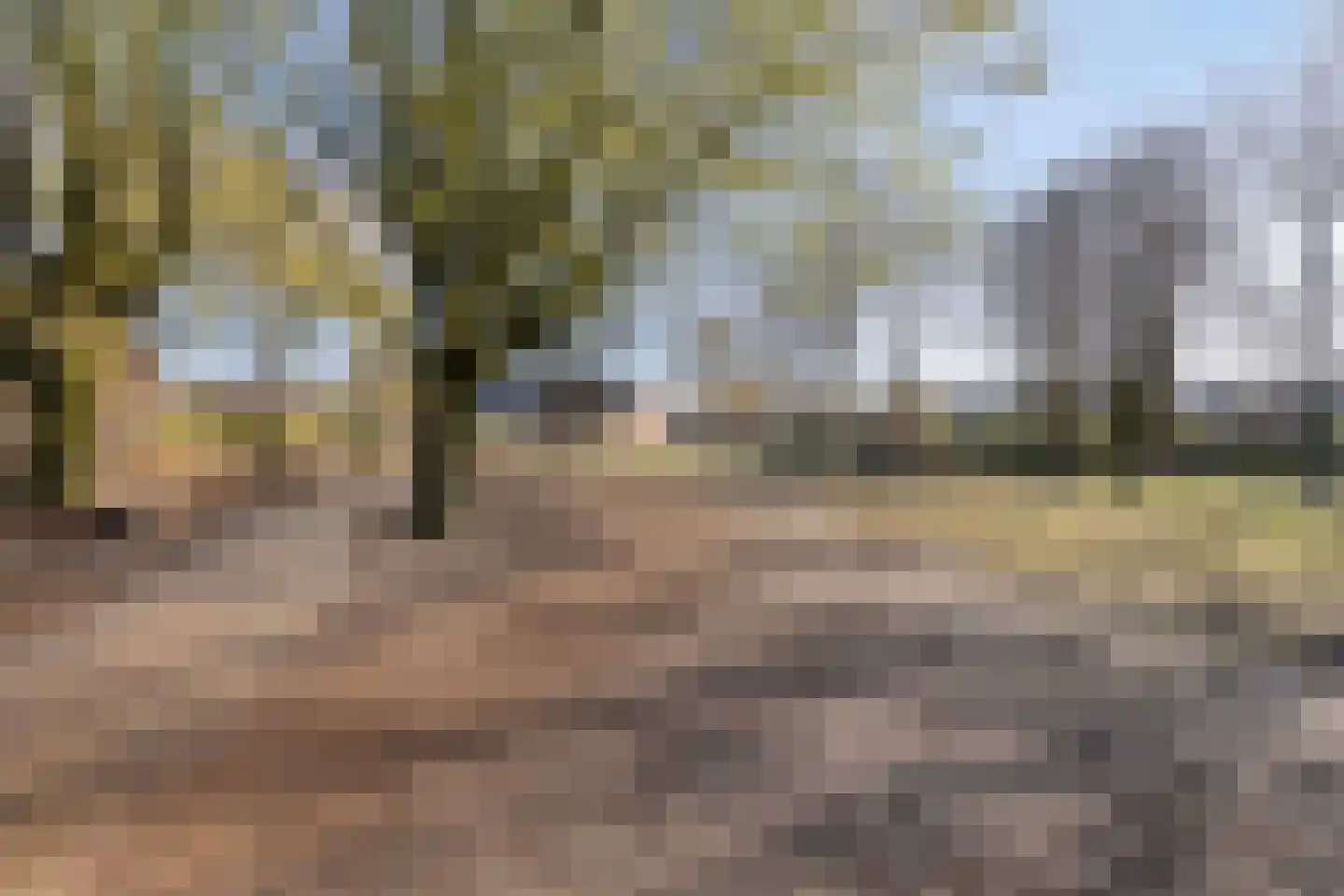 Hazenbos 20 Halsteren thumbnail 49