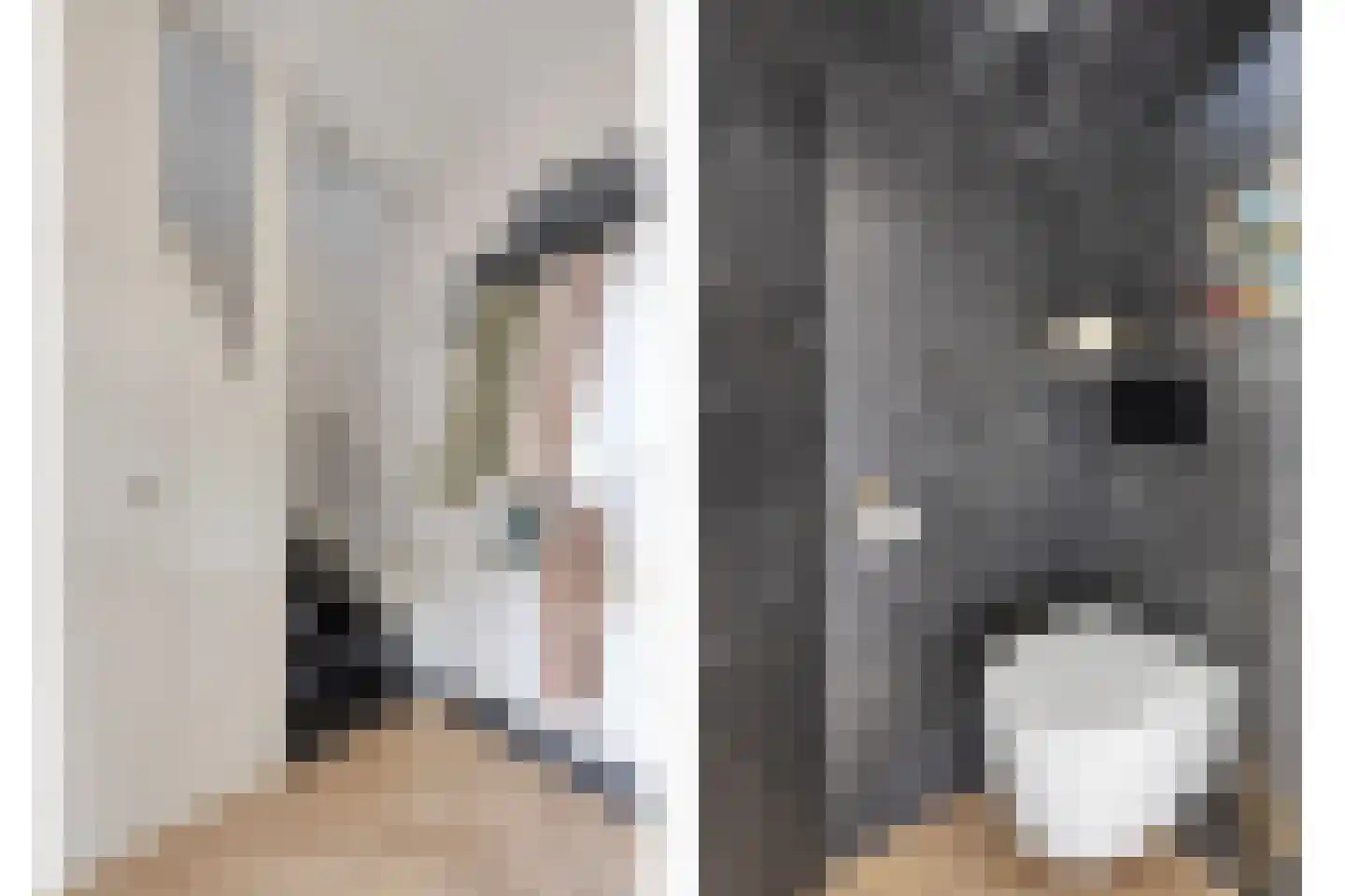 Hazenbos 20 Halsteren thumbnail 9