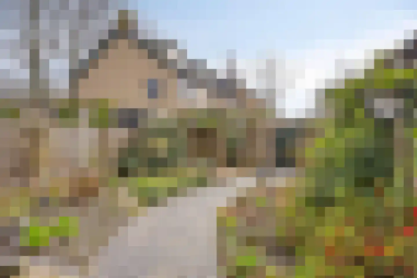 Hazenbos 26 Halsteren thumbnail 29