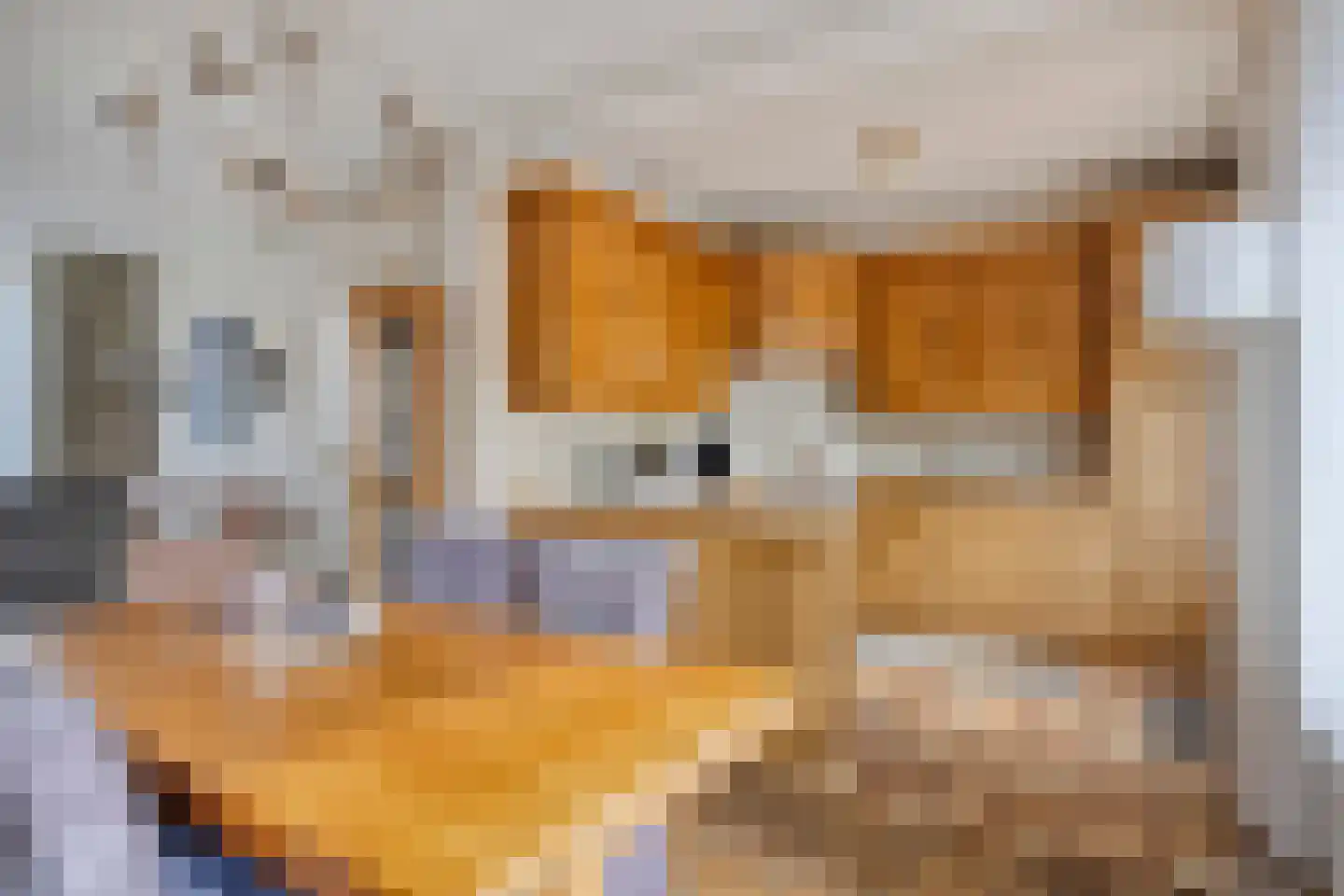 Hazenbos 26 Halsteren thumbnail 7
