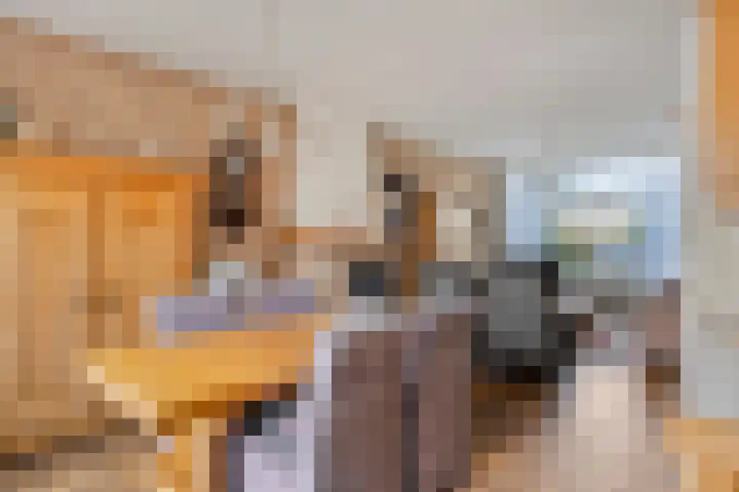 Hazenbos 26 Halsteren thumbnail 8