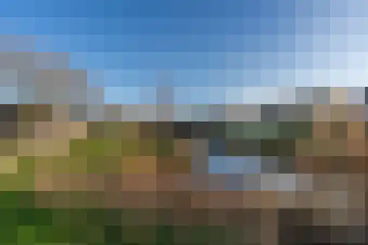 Hazenbos 27 Hedel thumbnail 34
