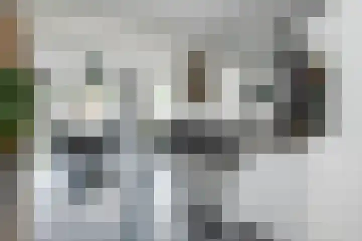 Hazenbos 29 Hedel thumbnail 16