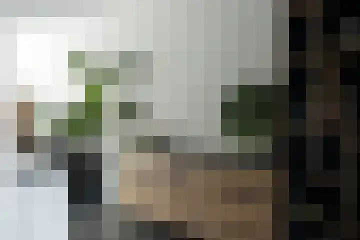 Hazenbos 29 Hedel thumbnail 28