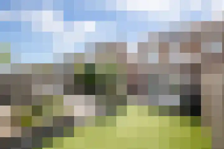 Hazenbos 29 Hedel thumbnail 4