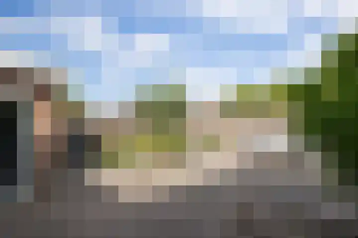 Hazenbos 29 Hedel thumbnail 45
