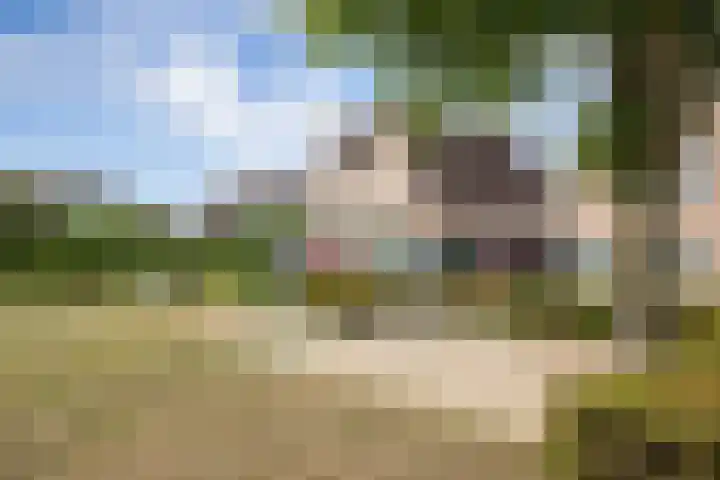 Hazenbos 29 Hedel thumbnail 53
