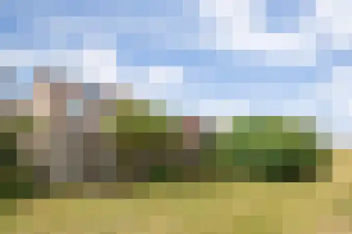 Hazenbos 29 Hedel thumbnail 55