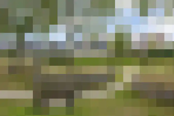 Hazenbos 29 Hedel thumbnail 59