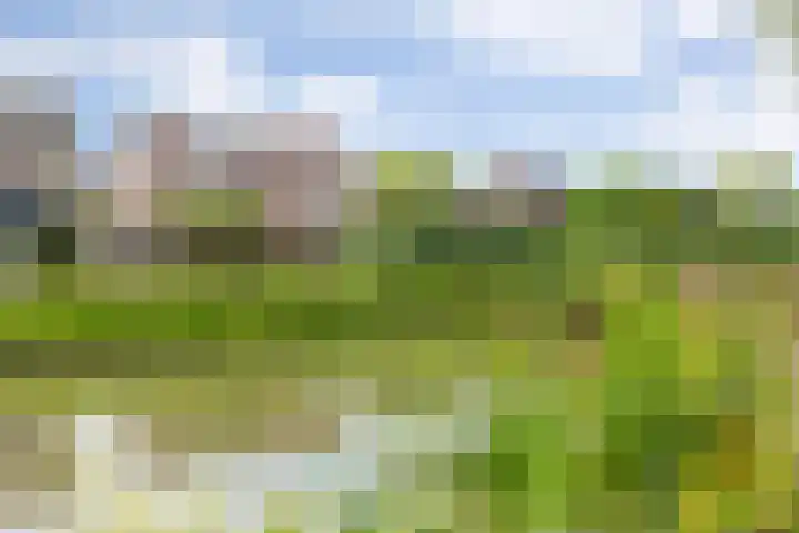 Hazenbos 29 Hedel thumbnail 61