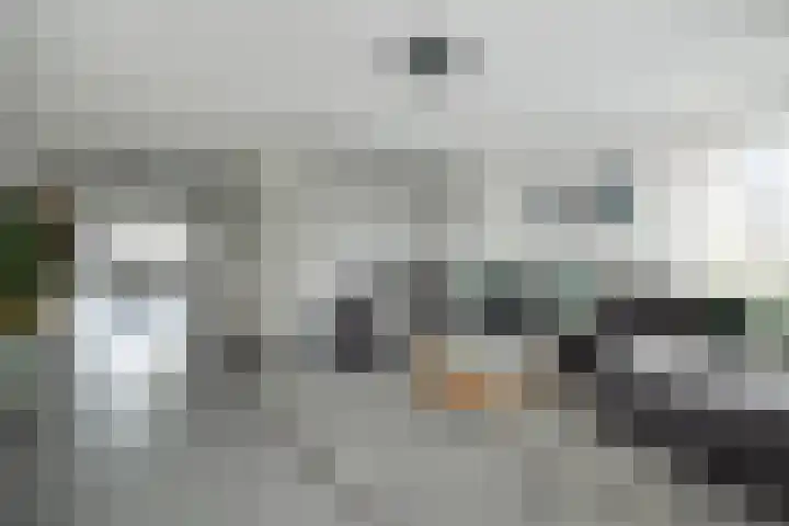Hazenbos 29 Hedel thumbnail 9