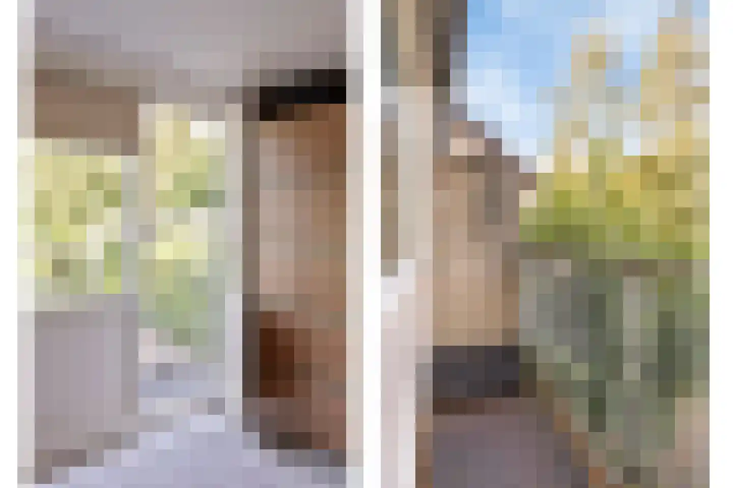 Hazenbos 32 Halsteren thumbnail 20