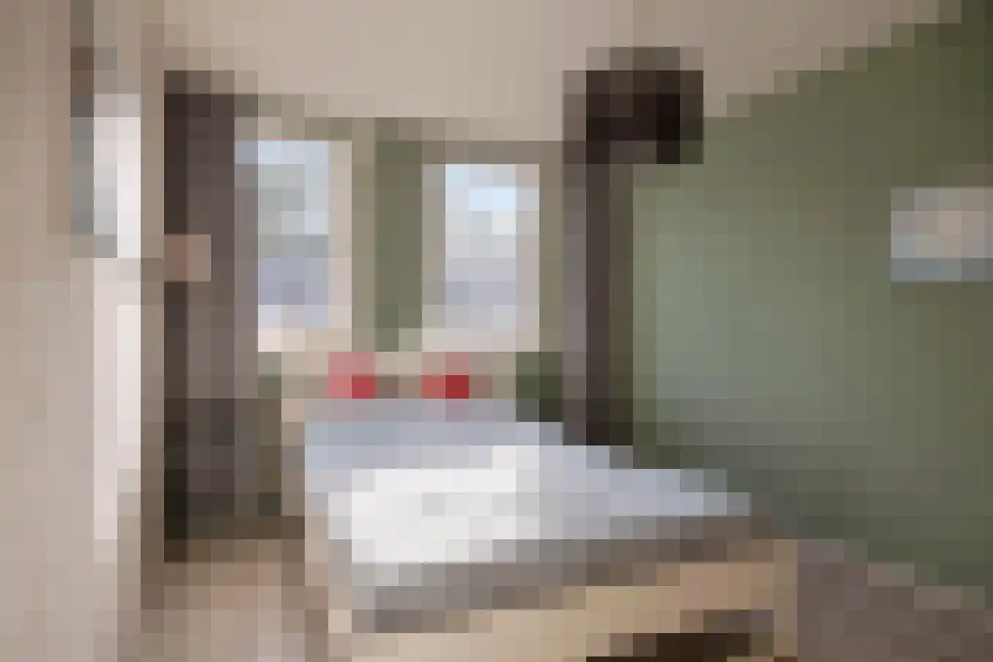 Hazenbos 32 Halsteren thumbnail 21