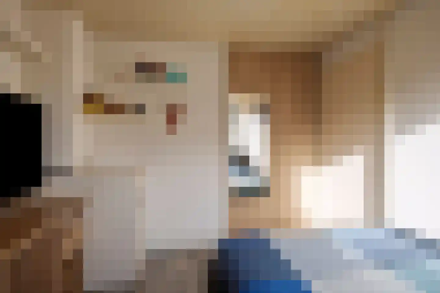 Hazenbos 32 Halsteren thumbnail 31