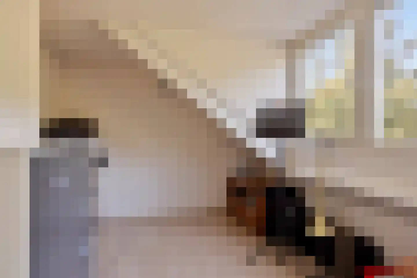 Hazenbos 32 Halsteren thumbnail 32