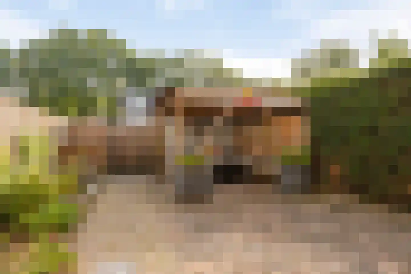 Hazenbos 32 Halsteren thumbnail 34