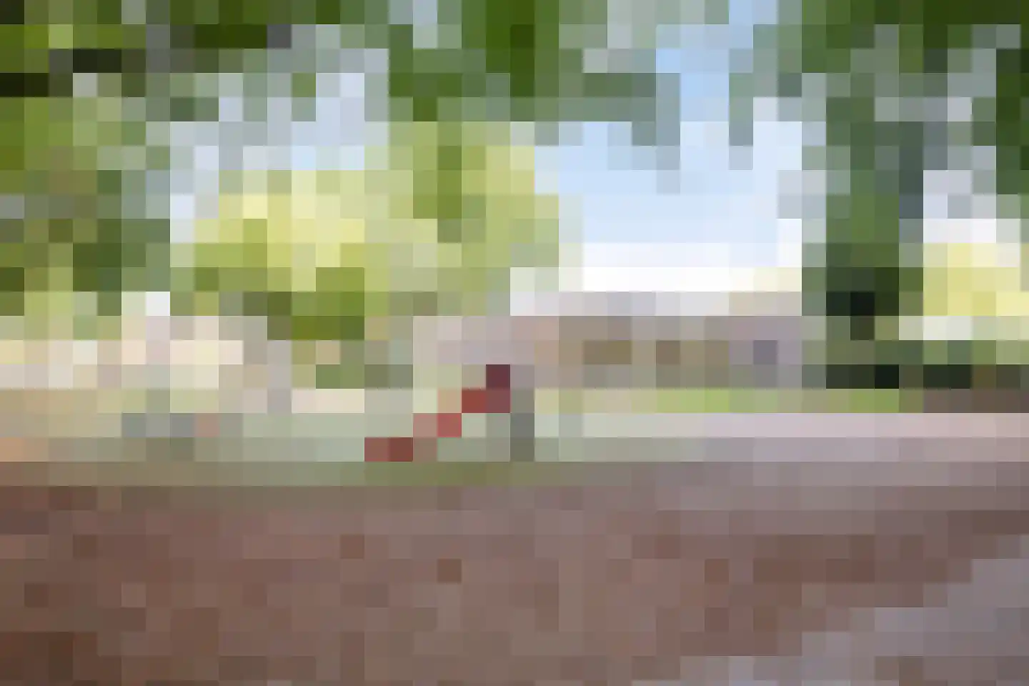 Hazenbos 32 Halsteren thumbnail 41