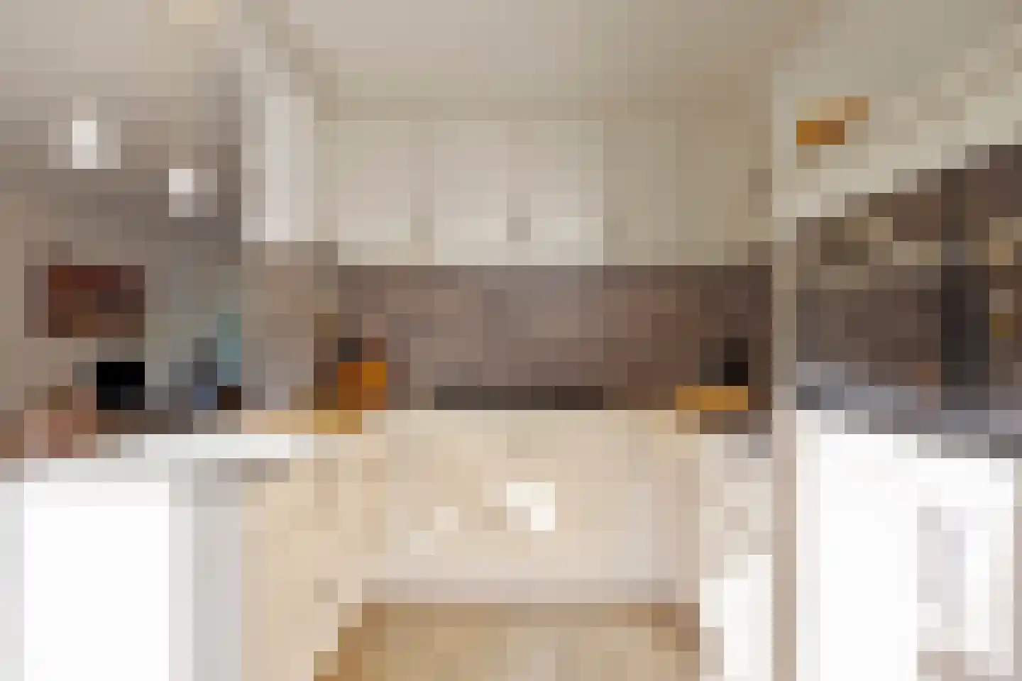 Hazenbos 32 Halsteren thumbnail 6