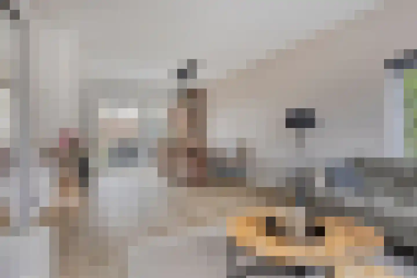 Hazenbos 55 Halsteren thumbnail 11