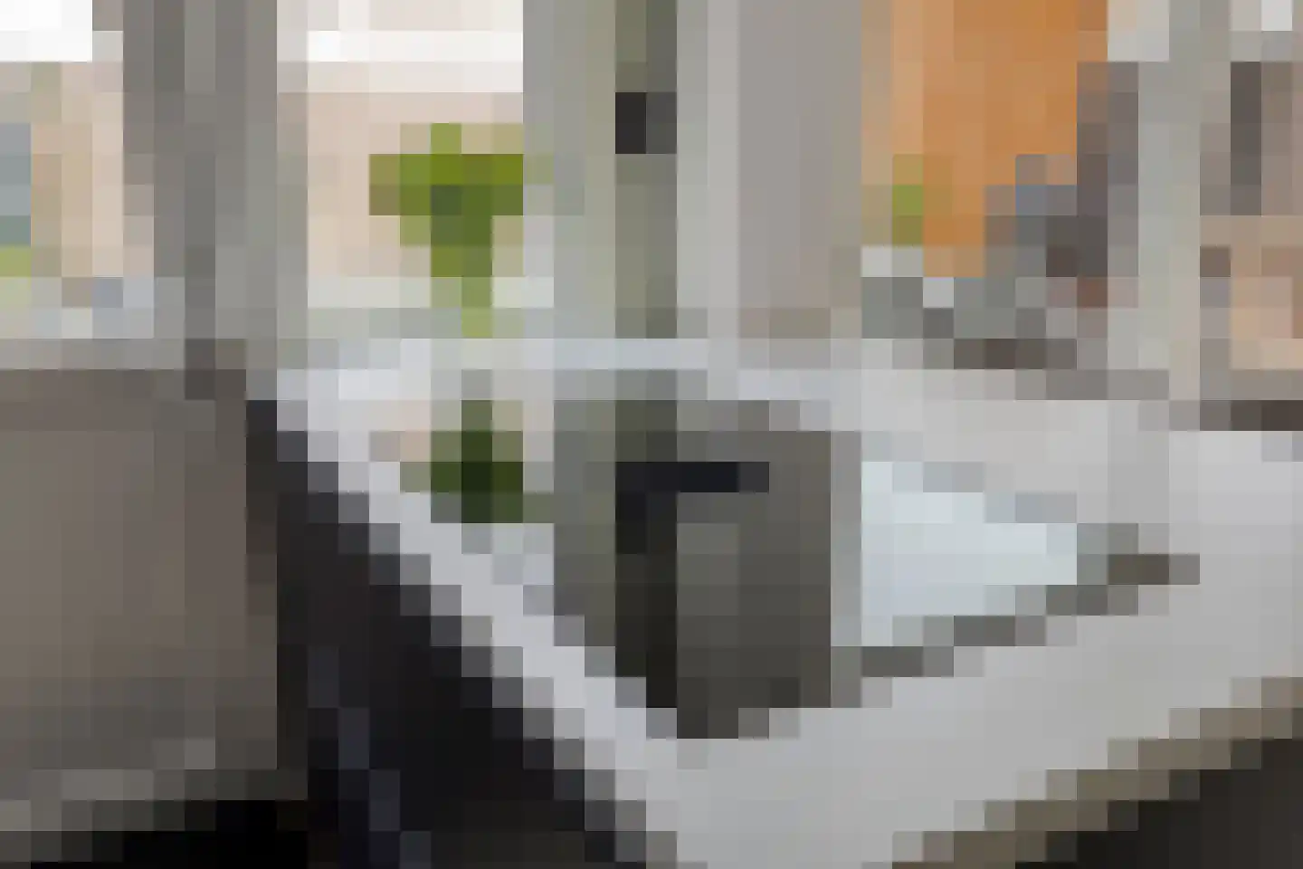 Hazenbos 55 Halsteren thumbnail 18