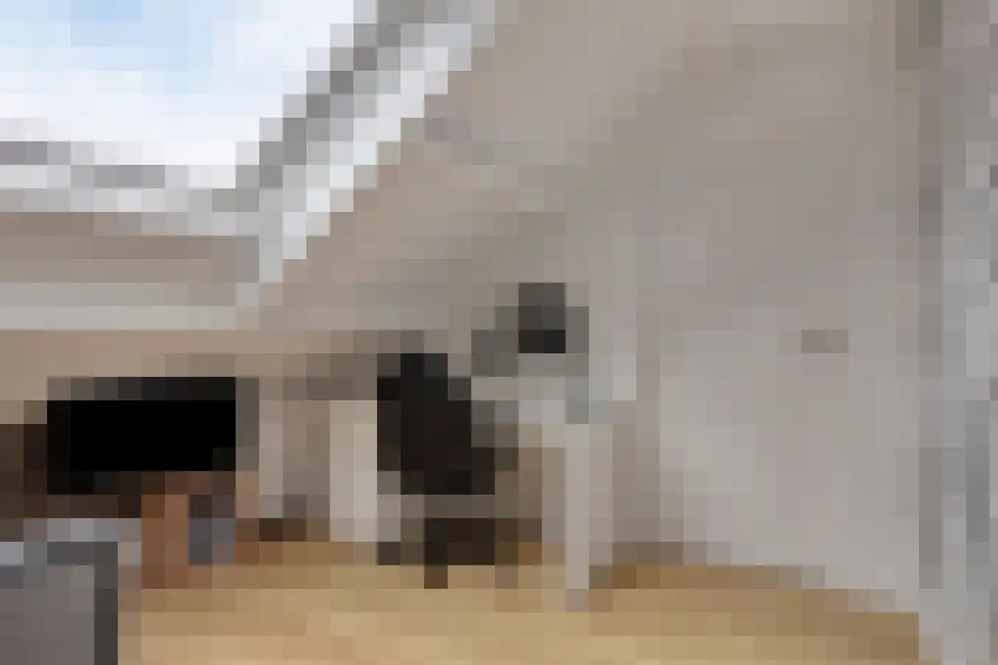 Hazenbos 55 Halsteren thumbnail 35