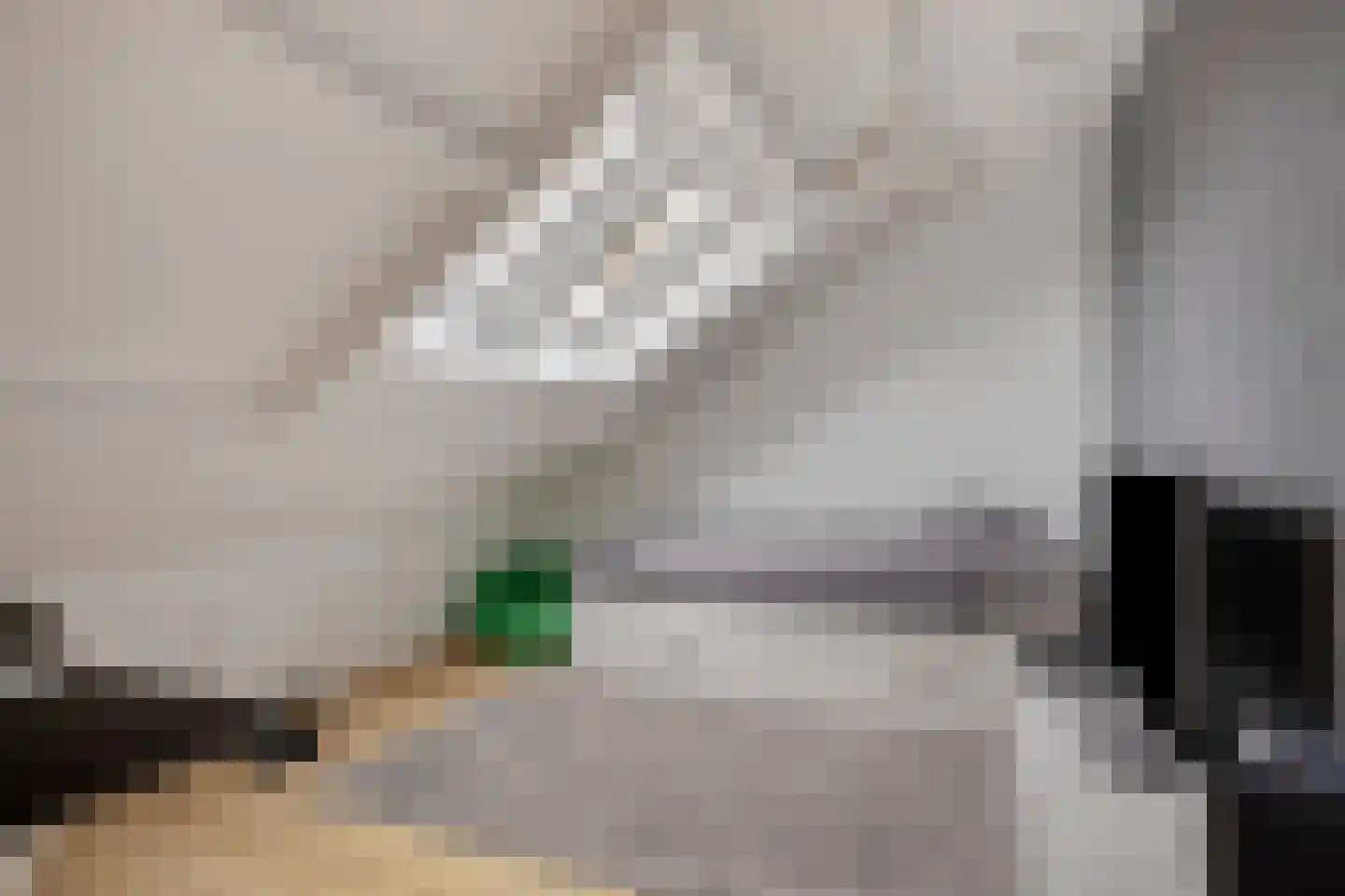 Hazenbos 55 Halsteren thumbnail 36