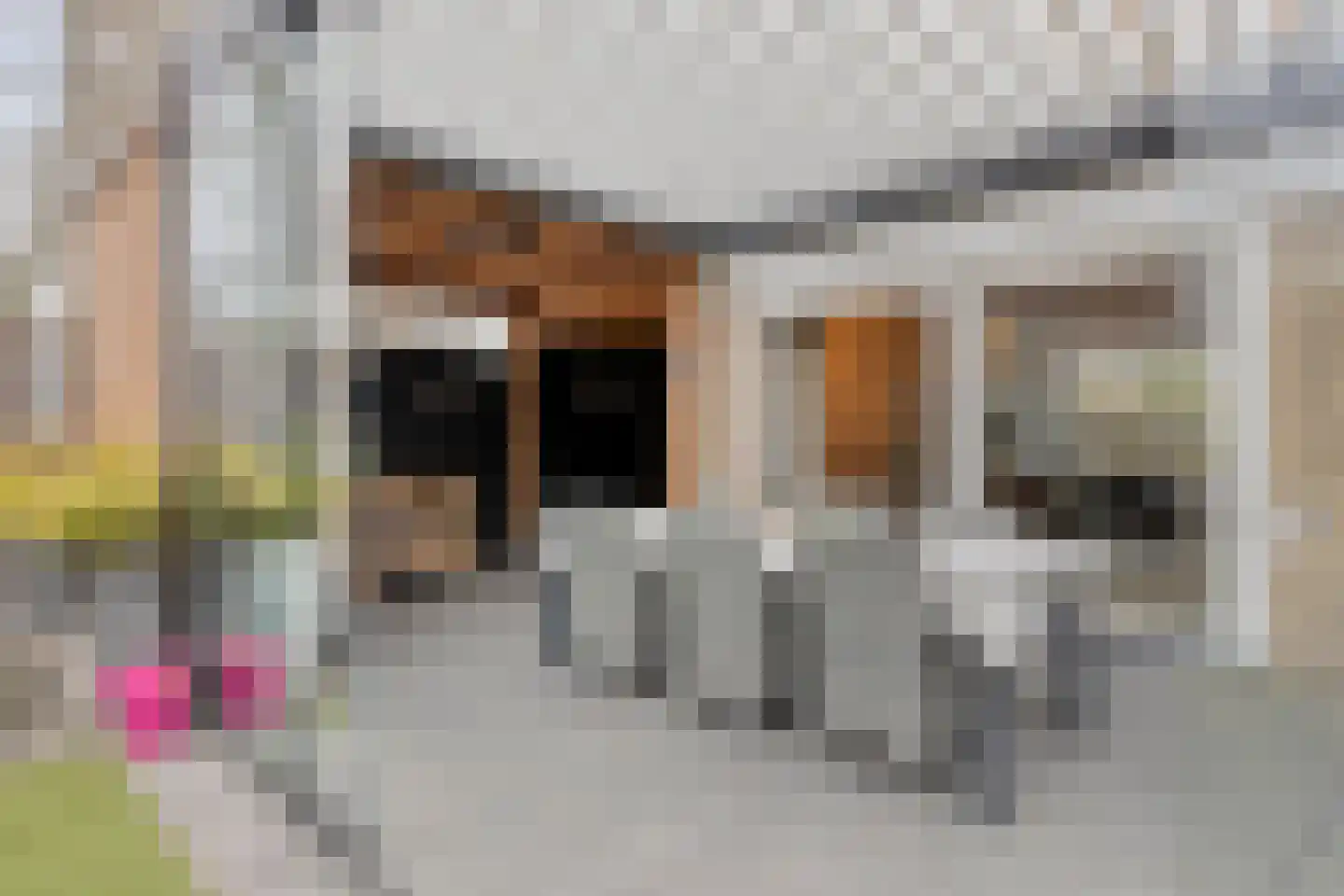 Hazenbos 55 Halsteren thumbnail 39