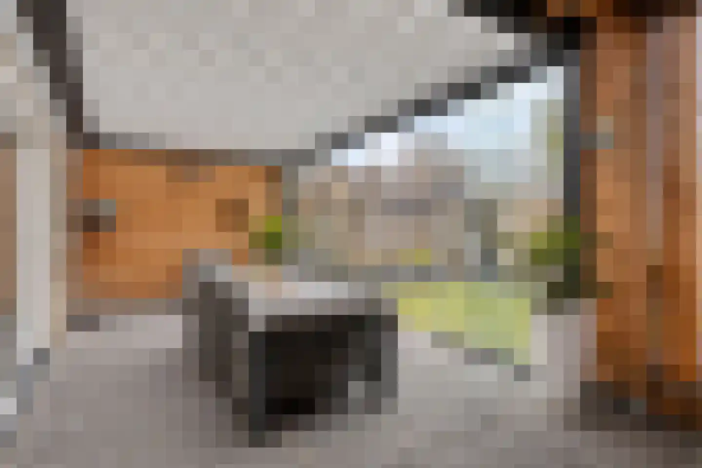 Hazenbos 55 Halsteren thumbnail 41
