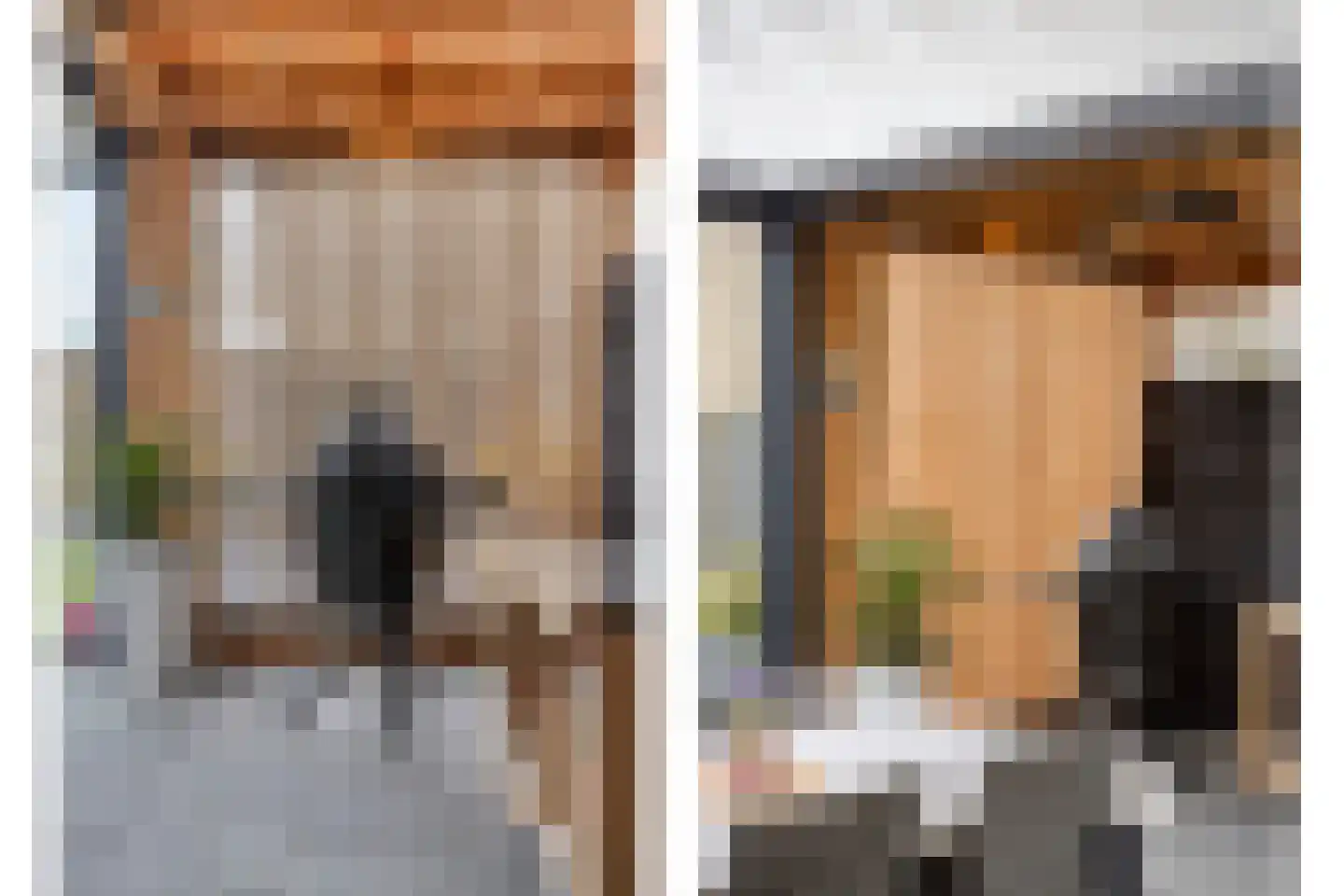 Hazenbos 55 Halsteren thumbnail 44