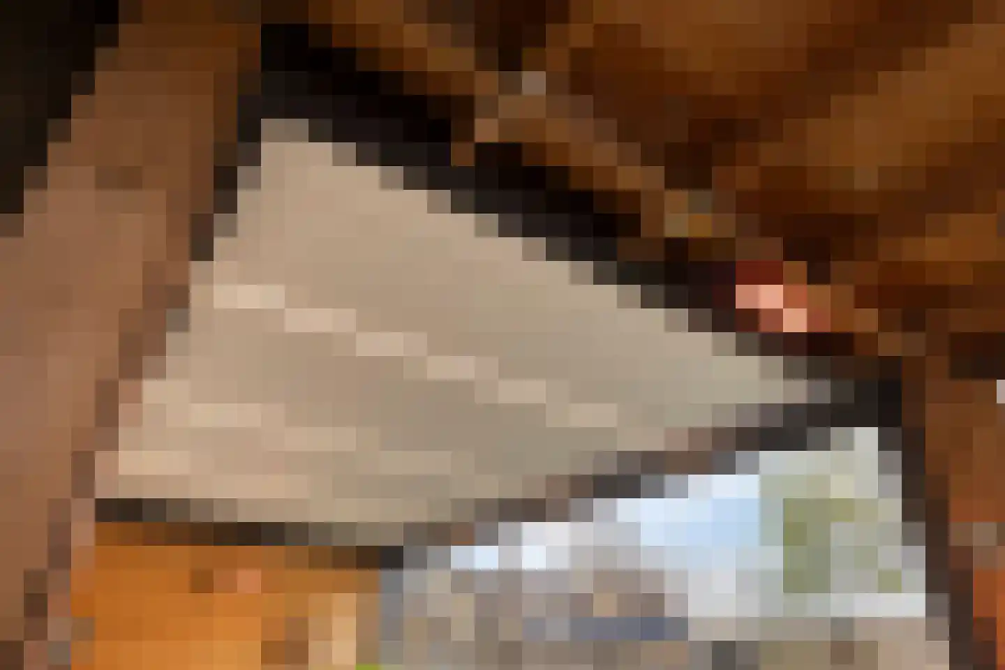 Hazenbos 55 Halsteren thumbnail 45