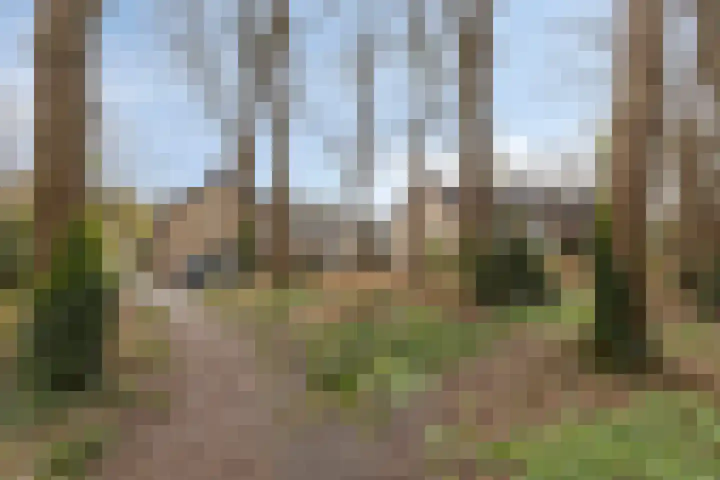 Hazenbos 55 Halsteren thumbnail 52