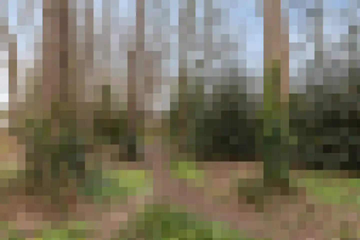 Hazenbos 55 Halsteren thumbnail 53