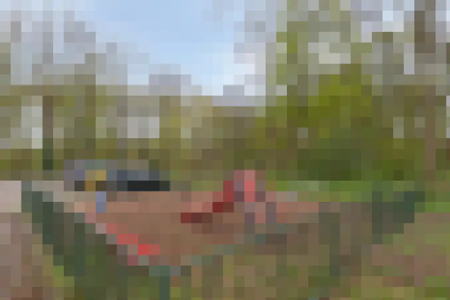 Hazenbos 55 Halsteren thumbnail 54