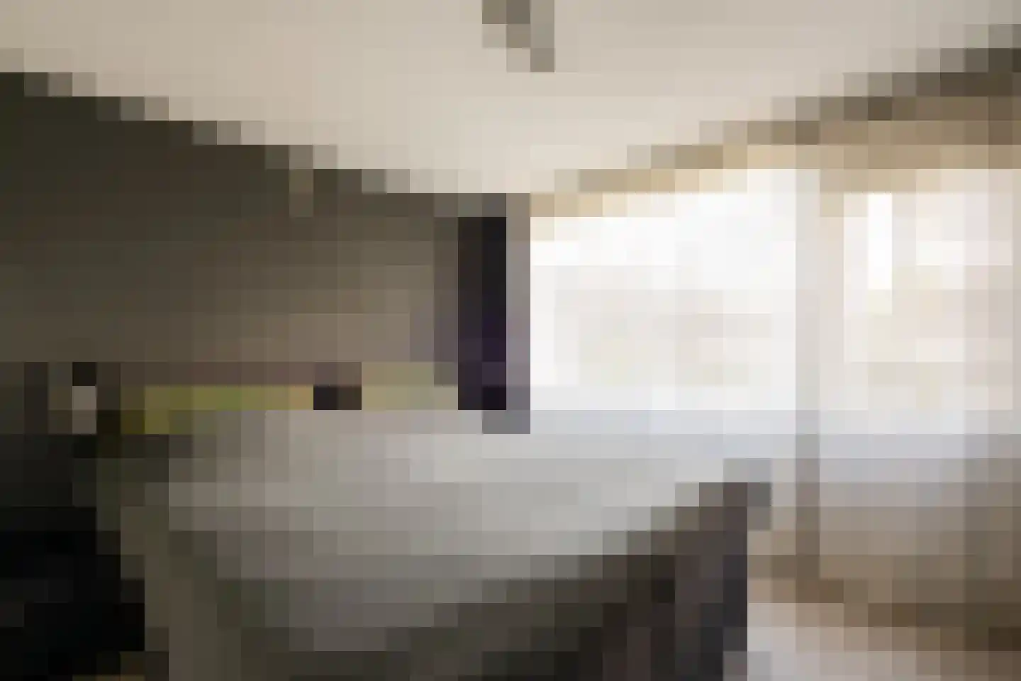 Hazenbos 56 Halsteren thumbnail 15