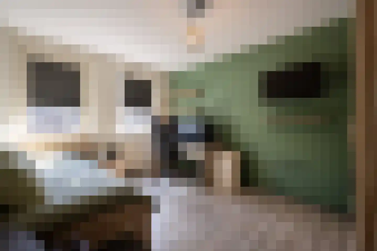 Hazenbos 56 Halsteren thumbnail 17