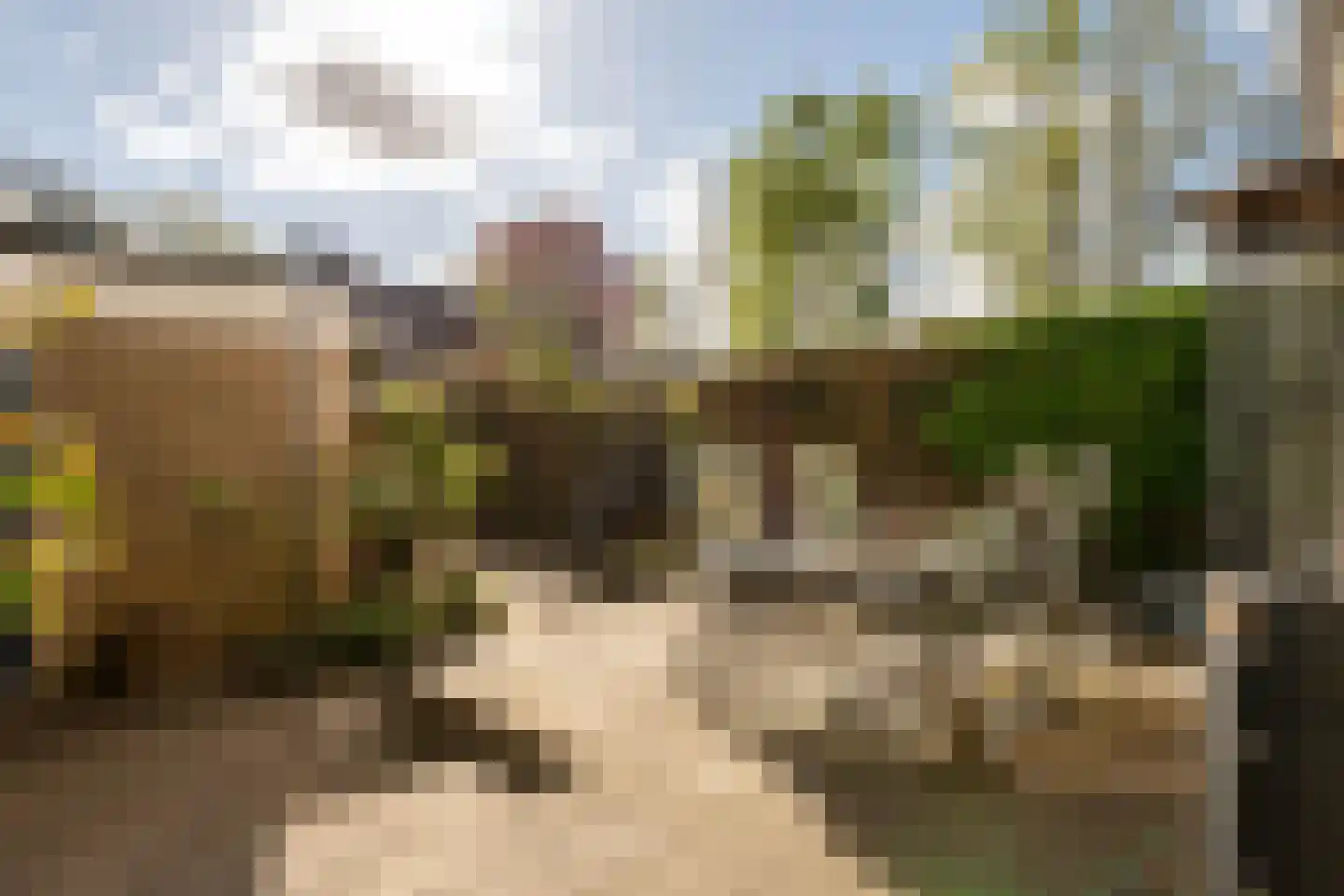 Hazenbos 56 Halsteren thumbnail 27
