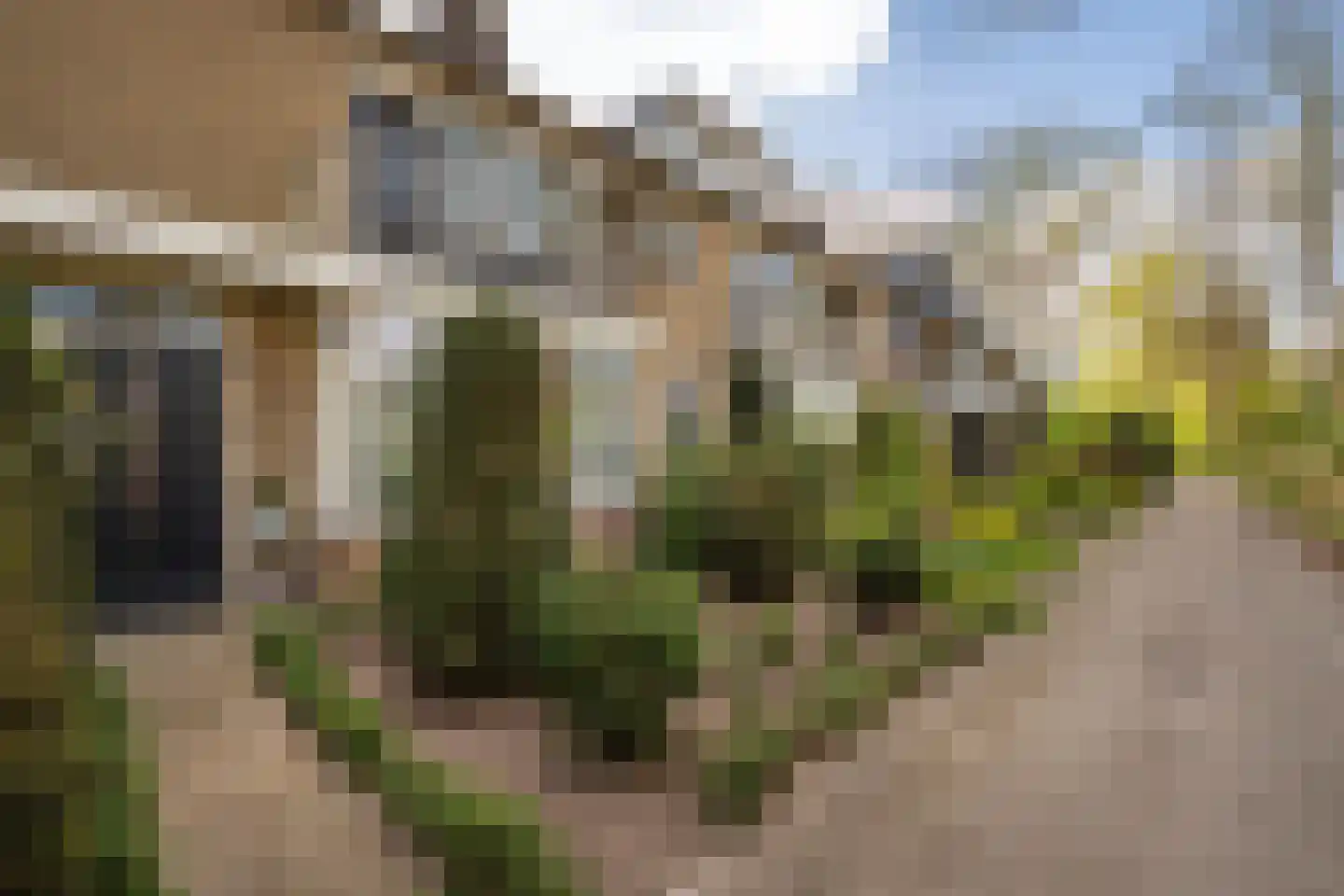 Hazenbos 56 Halsteren thumbnail 29