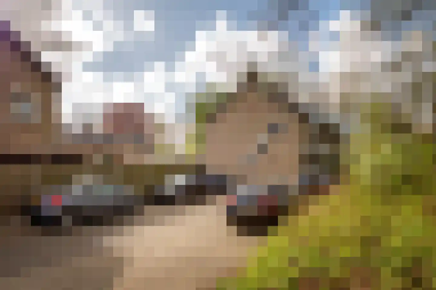 Hazenbos 56 Halsteren thumbnail 32
