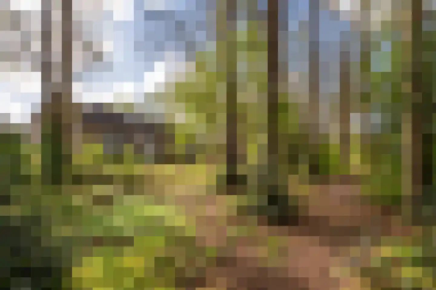 Hazenbos 56 Halsteren thumbnail 33