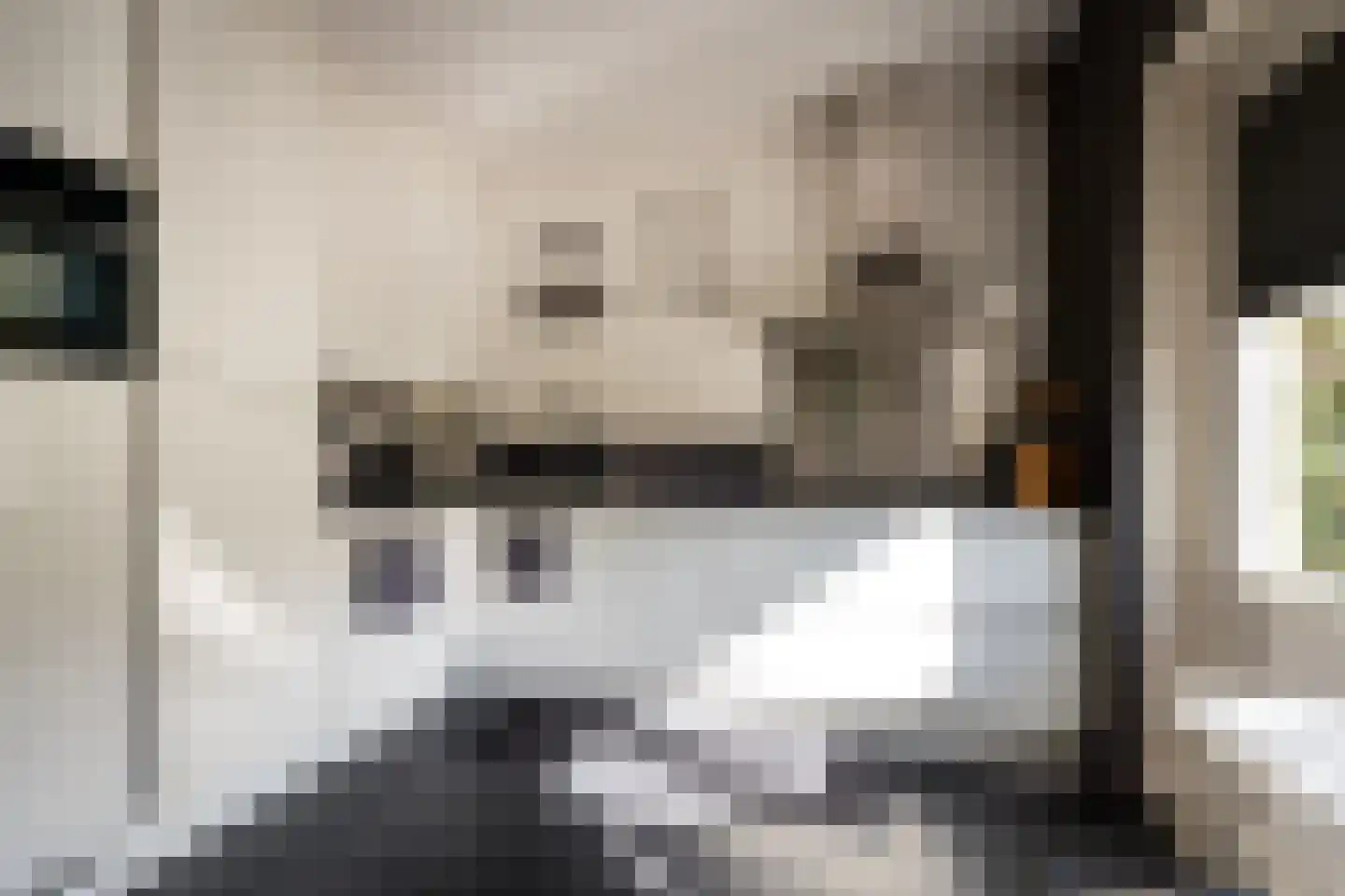 Hazenbos 56 Halsteren thumbnail 4
