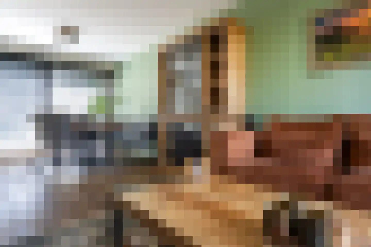 Hazenbos 56 Halsteren thumbnail 8