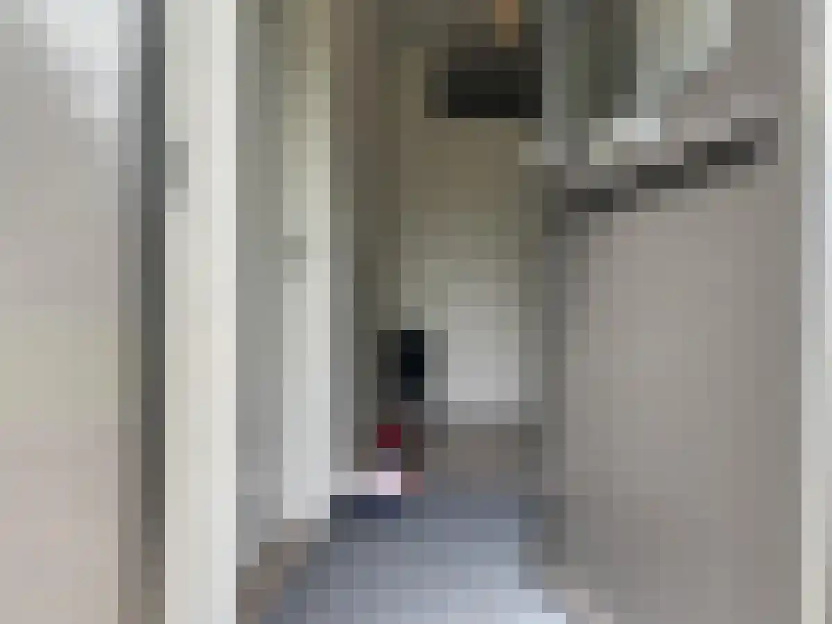 Hazenboslaan 2 Oegstgeest thumbnail 5