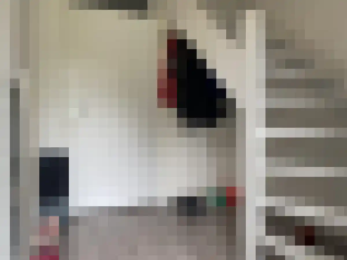 Hazenboslaan 2 Oegstgeest thumbnail 6