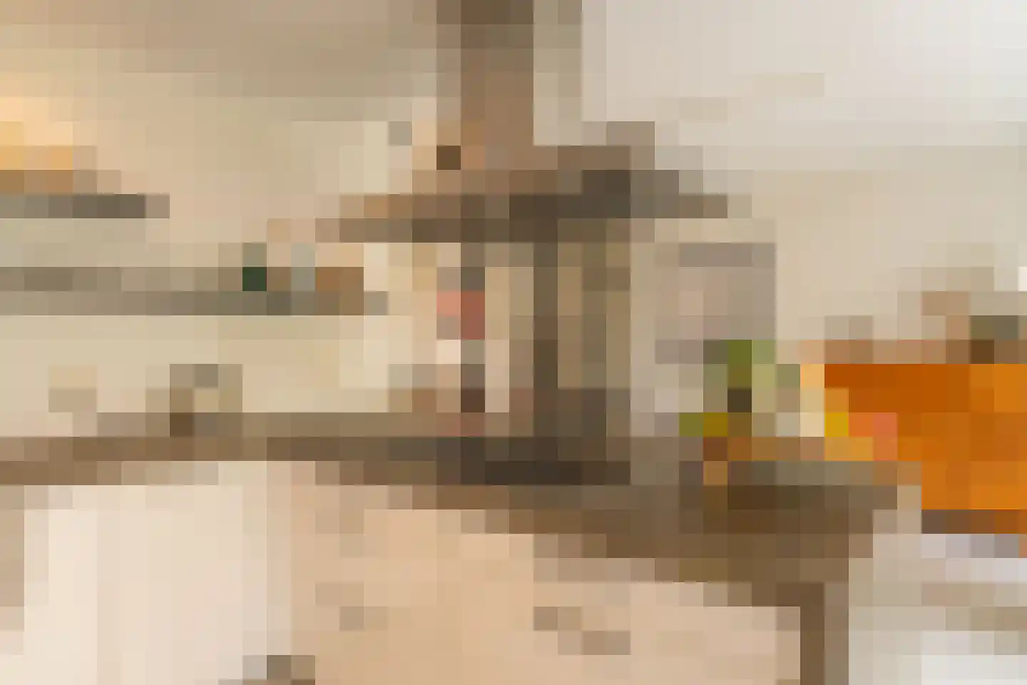 Hazenboslaan 35 Oegstgeest thumbnail 10