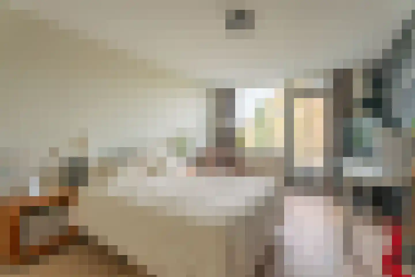 Hazenboslaan 35 Oegstgeest thumbnail 19