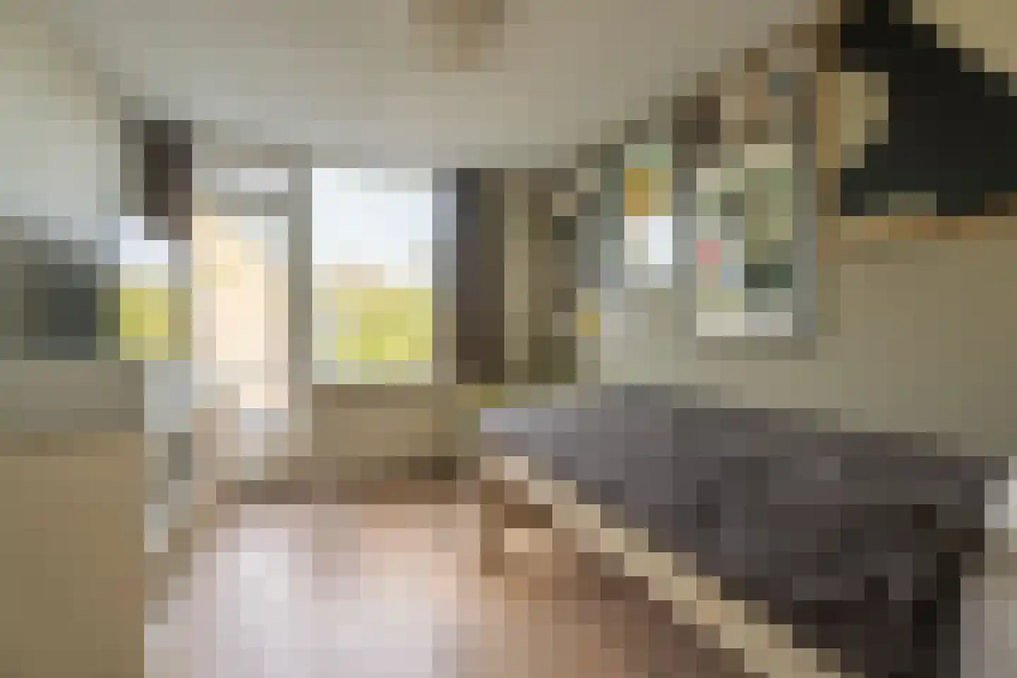Hazenboslaan 35 Oegstgeest thumbnail 21