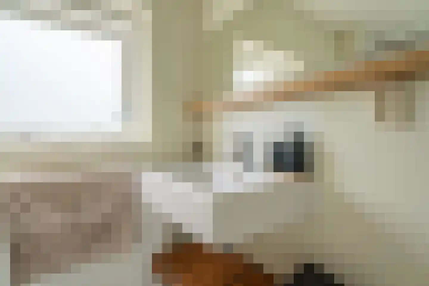Hazenboslaan 35 Oegstgeest thumbnail 24
