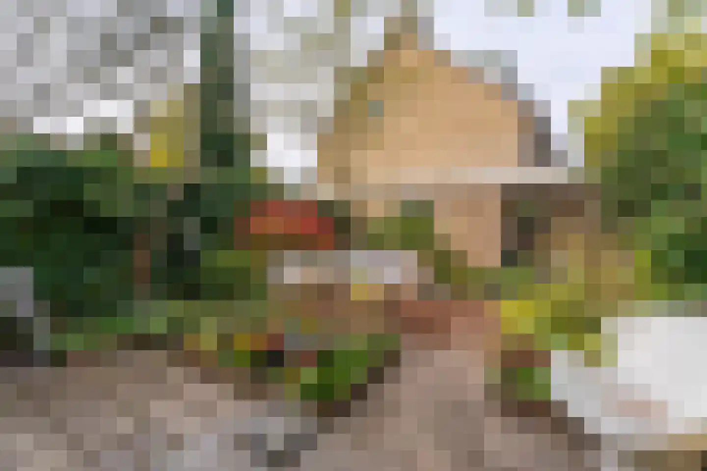 Hazenboslaan 35 Oegstgeest thumbnail 34