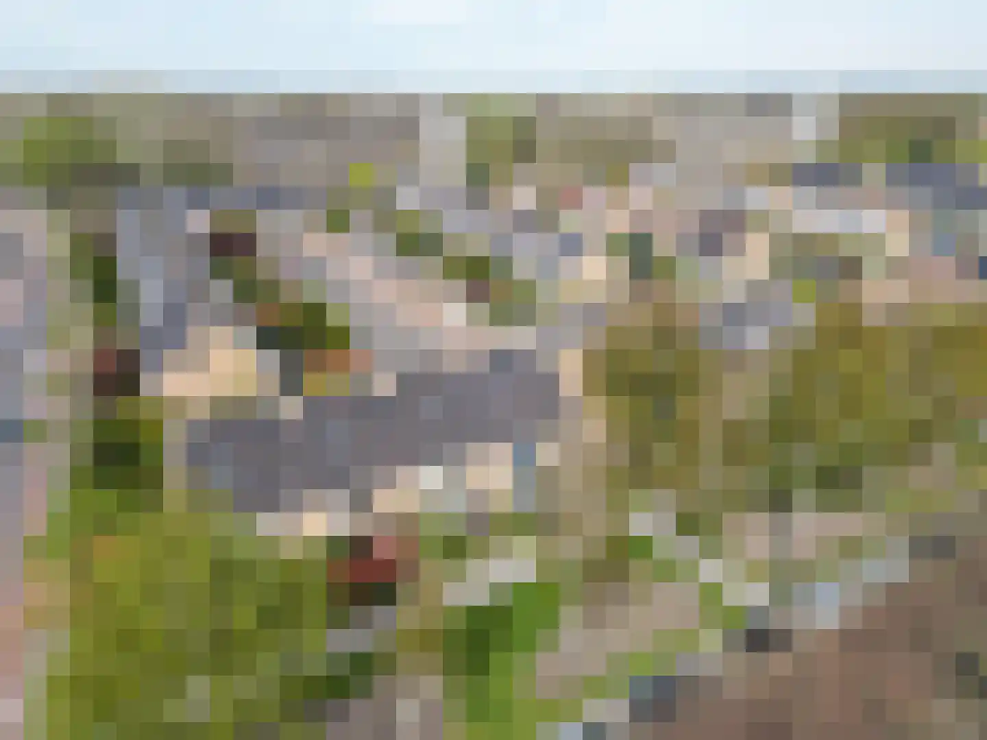 Hazenboslaan 35 Oegstgeest thumbnail 39